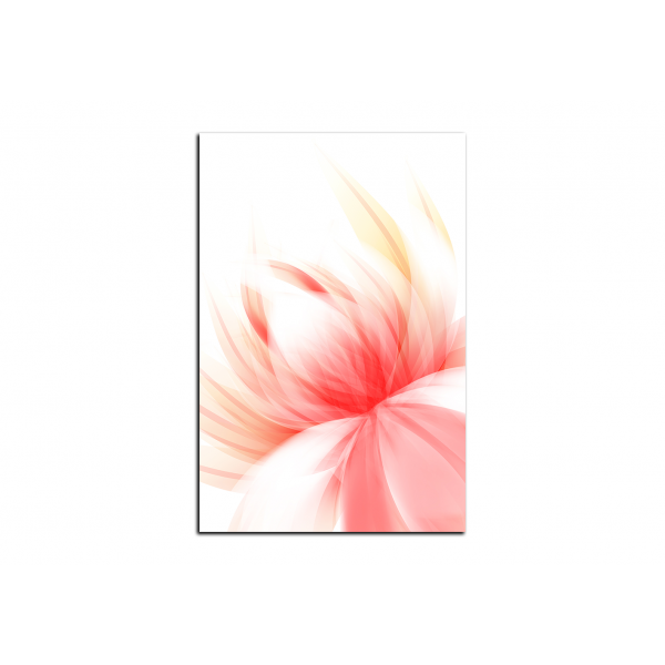 Obraz na plátně - Elegantní květ - obdélník